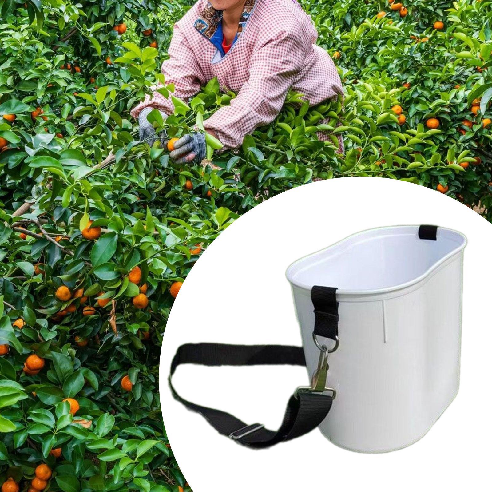 Fruit Picking Bucket Lightweig - огляд і ціна Food Storage Practices
