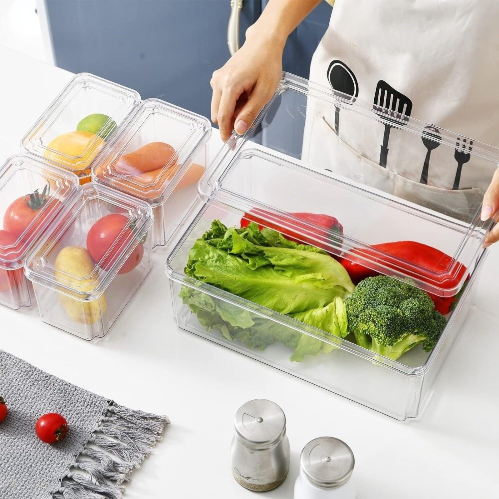Practical Transparent Fridge O - огляд і ціна Food Storage Practices