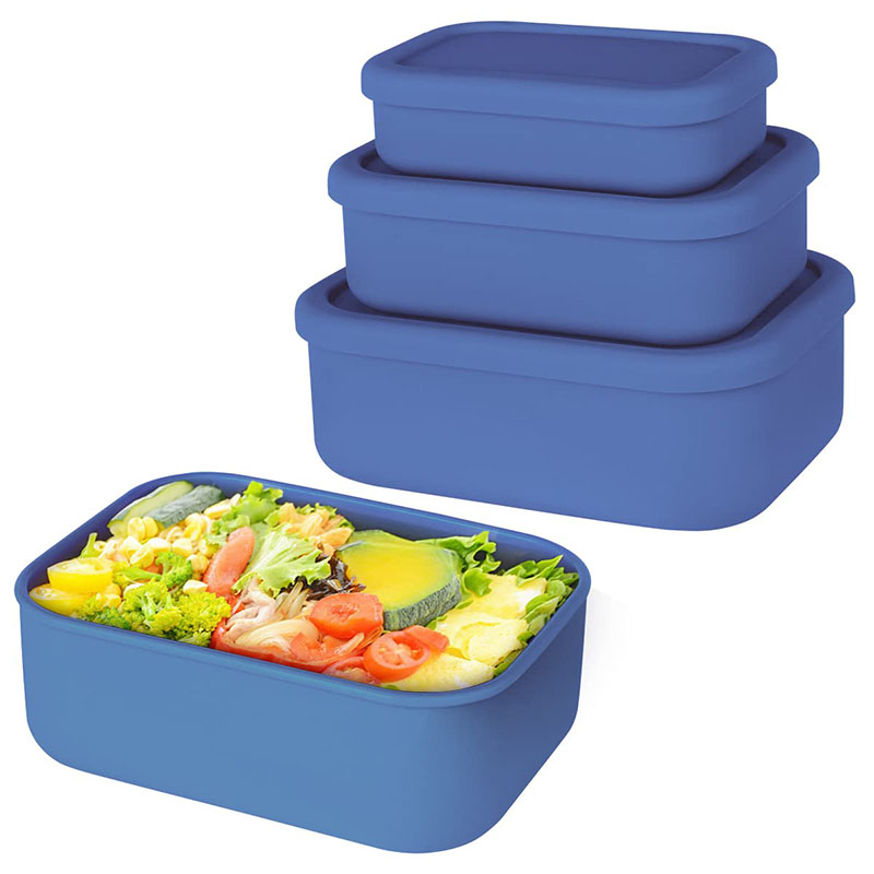 Leak-Resistant Bento Lunch Box - огляд і ціна Food Storage System