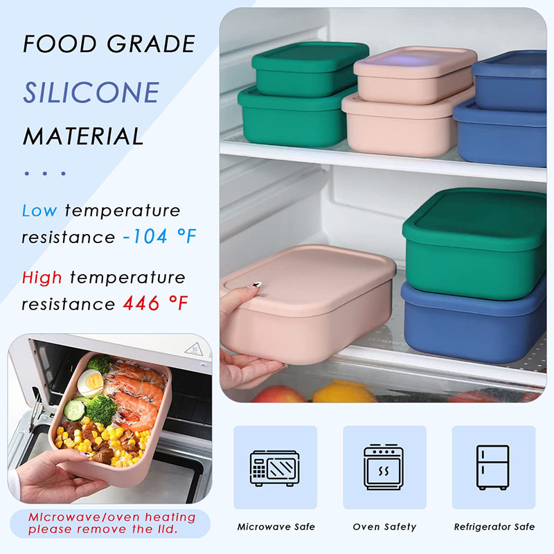 Leak-Resistant Bento Lunch Box - огляд і ціна Food Storage System
