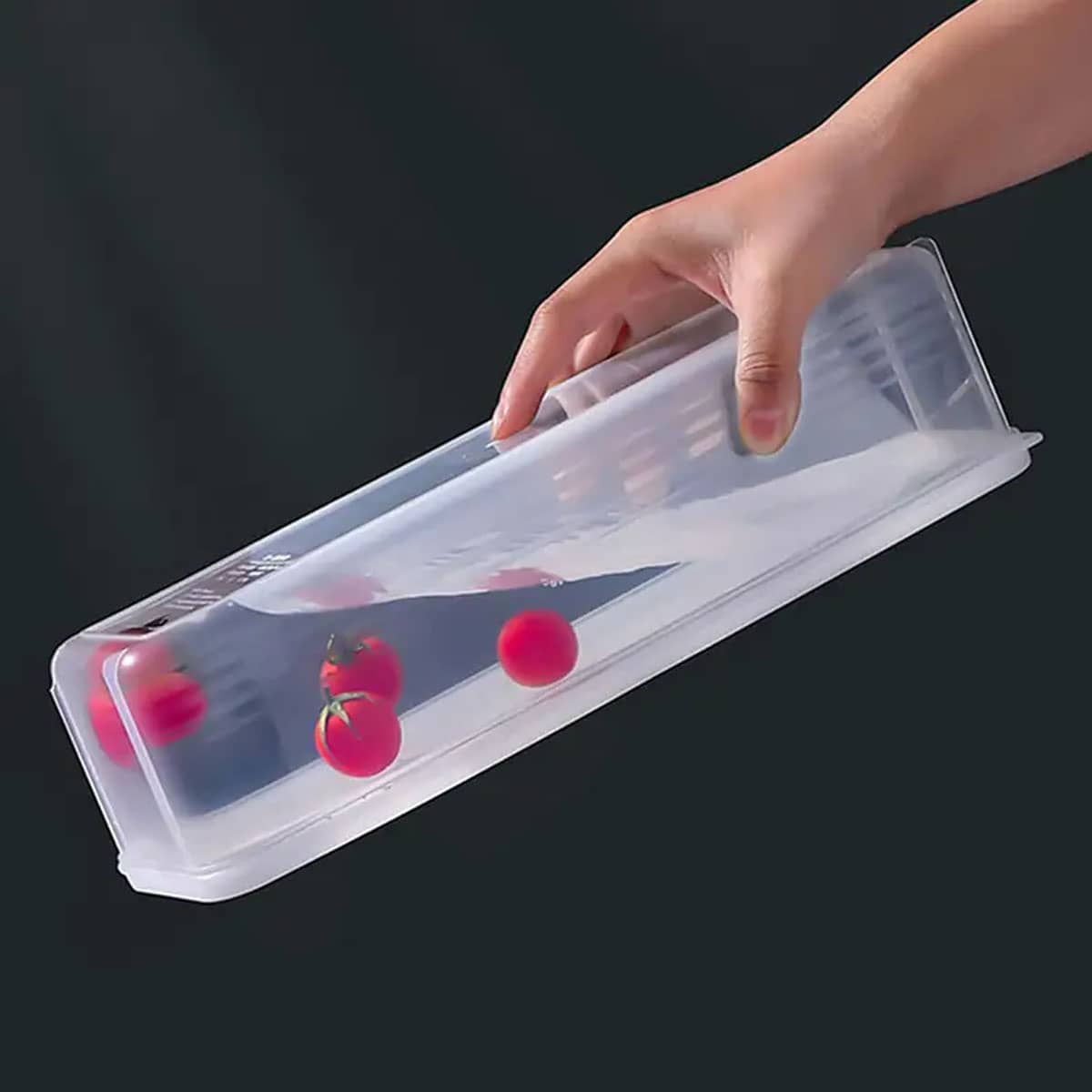 1 Plastic Transparent Storage  - огляд і ціна Food Storage System